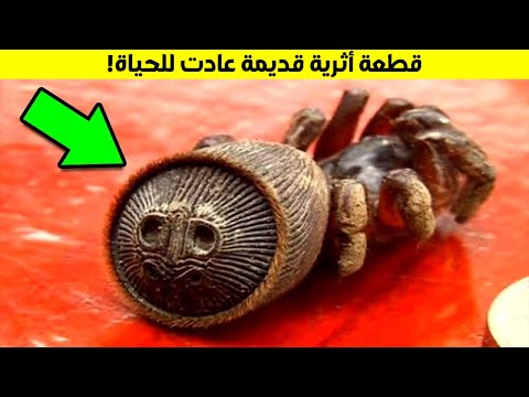 أكثر الاكتشافات المذهلة في حدائق المنازل