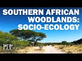 SEOSAW Research and Woodland Dynamics