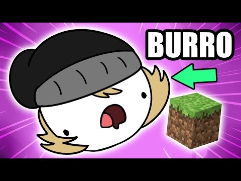 O YCARO É MUITO BURRO (ft. meu gato)