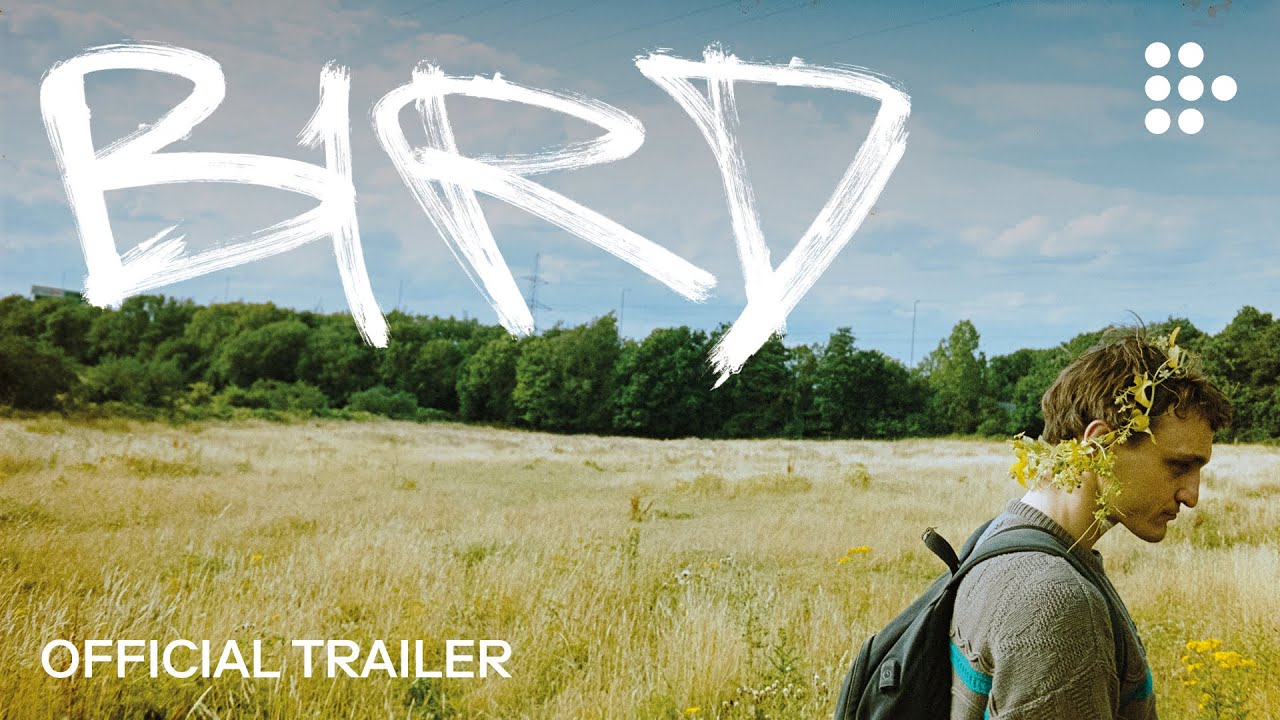 Bird Trailer thumbnail