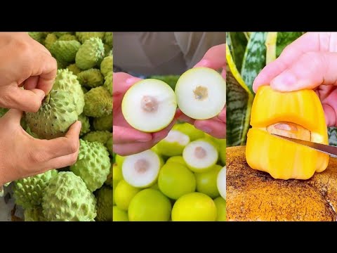 Farm Fresh Ninja Fruits (Oddly Satisfying Fruit Ninja) Harvest Time