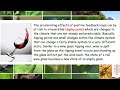 Climate Feedback Loops and Effects