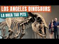 Fossil Preservation in Tar Pits