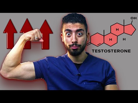 5 أشياء تزيد هرمون الذكورة تستوستيرون طبيعيا فى الجسم - Testosterone