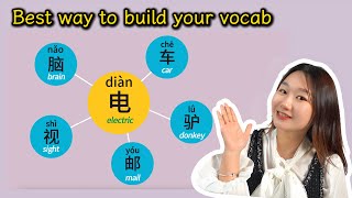 Best Way to Build & Increase Your Chinese Vocabulary | Learn Chinese