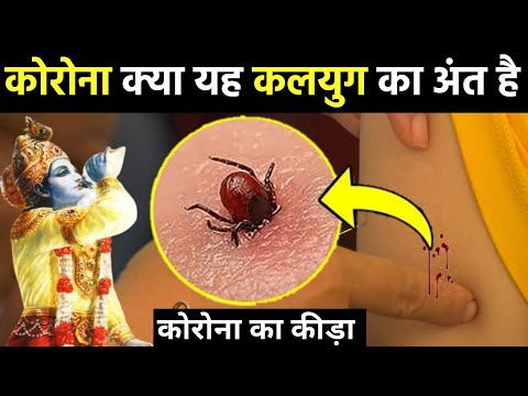 कलयुग के अंत की शुरुआत ? || कब होगा कलयुग का अंत || कृष्ण उपदेश