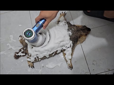 you laugh, you restart meme