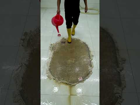 What's the Best Carpet Clean Method for a Satisfying Clean?