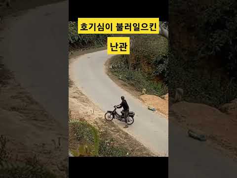 호기심이 불러일으킨 난관, 왜 나가질 못하니  #블랙박스#교통사고 #안전운전 #shorts