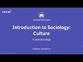 Understanding Culture in Sociology