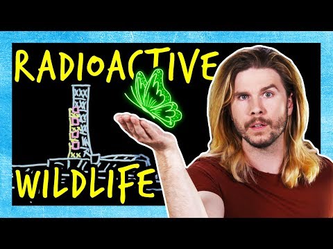 Did Chernobyl Create Mutant Animals?
