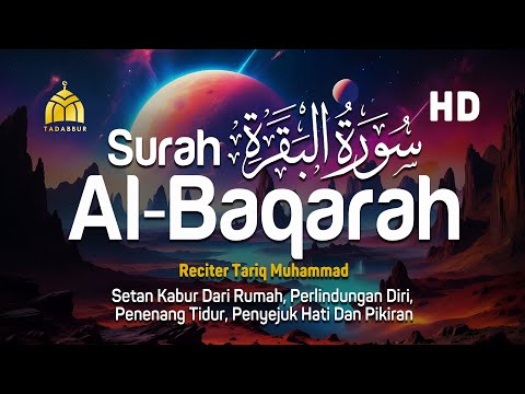 Surah Al Baqarah Full Dengan Suara Indah Membuat Hati Tenang - Tariq Muhammad