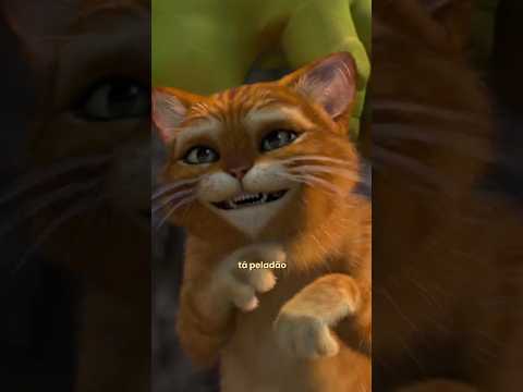 🔍🐈 #gatodebotas