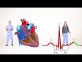 EKG Interpretation Concepts