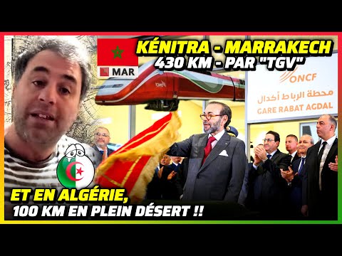 INFRASTRUCTURE : 430KM de TGV au Maroc .. Tebboune annonce 100KM à Béchar !! #train #tgv #maroc #alg