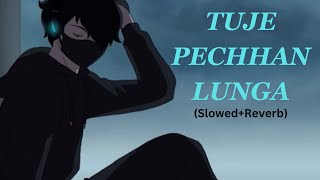 Tuje Pechhan Lunga ( Slowed + Reverb ) |