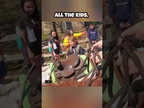 If you're ride a horse, you're lucky