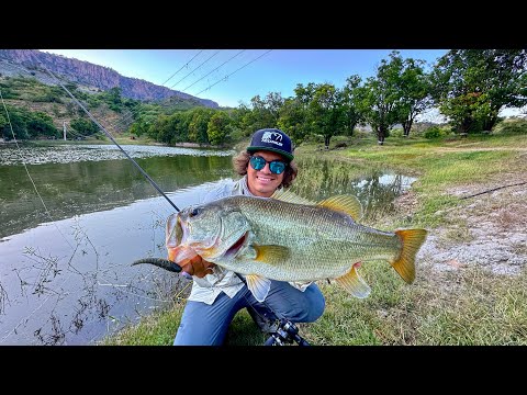 Pesca de Orilla en Lago REPLETO de Lobinas!