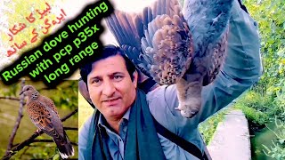 Russian Dove hunting with p35x / long range hunting with p35x / hunters vlogs pk