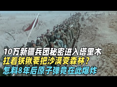 10万新疆兵团秘密进入塔里木沙漠，竟要把沙漠变森林？怎料8年后原子弹在这里爆炸，主席：做窝成功！【真实故事】