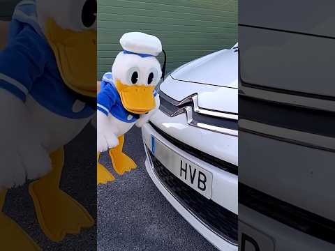 El final no lo esperaba 🦆 #humor #bentleygirl #donald #patodonald #donalduck #doblaje #disney