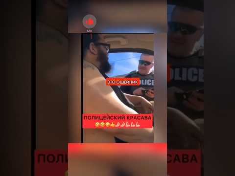 В США полицейский остановил кота😄Полицейскому можно дать награду за его гениальный диалог💪👌😄