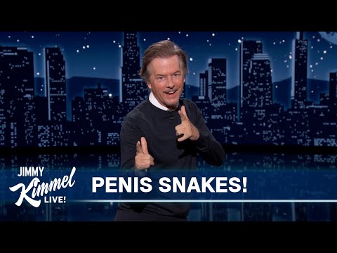 Guest Host David Spade on Terrible Clickbait, Penis Snakes & Being Too Old for TikTok