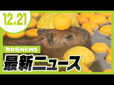 【12/21の最新ニュース】とろけそうな顔でうとうと…カピバラが冬至の「ゆず湯」を満喫／“黒色のSUV車”にはねられ87歳女性死亡　ひき逃げ事件として捜査【MBSニュース】