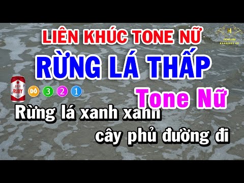 Karaoke Liên Khúc Nhạc Trữ Tình Bolero Tone Nữ | Rừng Lá Thấp – Cơn Mê Tình Ái