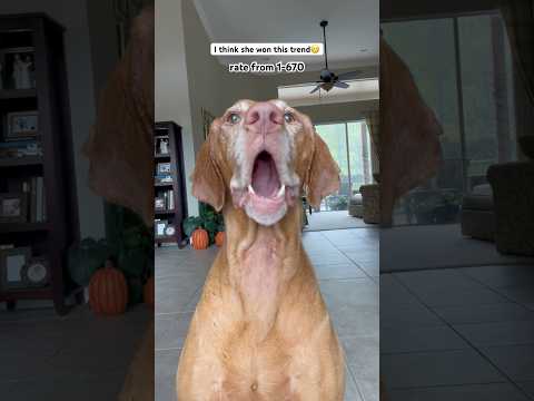 How did she do?? #foryou #trend #viral #shortvideo