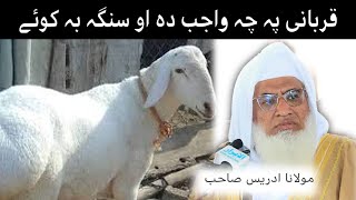 MOLANA IDREES SEB QURBANI PA CHA WAJIB DA AO SENGA BE QAWE