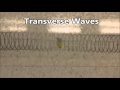 Wave Properties and Behavior