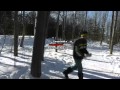 Tree Measurement and Identification