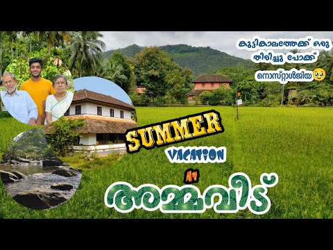 അമ്മവീട്ടിലെ അവധിക്കാലം🥹🏡 ⛱️Summer vaction at beautiful Amma veedu🧓⛰️