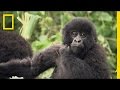 Wildlife Conservation and Empathy