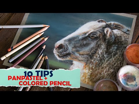 Use These Quick Tips for Your PanPastel & Colored Pencil Paintings