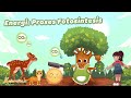 Photosynthesis and Energy Transformation Concepts