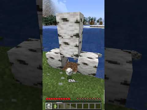 Minecraft, tapi aku nggak boleh sentuh warna apapun #shorts