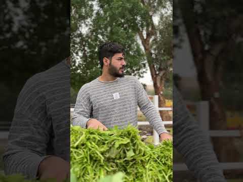 المدارس الاهليه والضلم الجزء 2