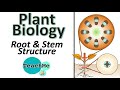 Plant Structure and Function Assessment