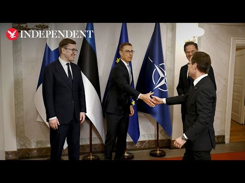 Finnish president hosts NATO leaders for Baltic Sea security talks