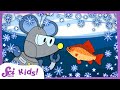 Winter Survival Strategies of Pond Animals
