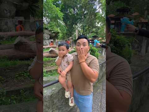 hãy giải cứu con mèo trong hang gấu tại Thảo cầm viên #kahiha #funny #giadinh #thaocamvien