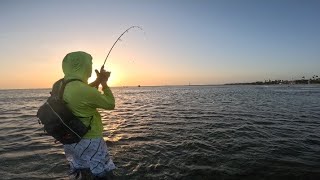 Fishing hard to break the skunk
