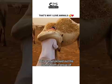 THAT'S WHY I LOVE ANIMALS || ANIMALS || CAPT. ZILE SINGH ACADEMY ||