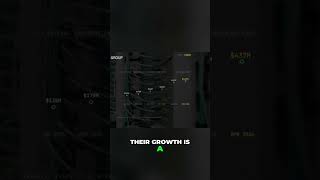Credo: Chip Tech for Hyperscalers