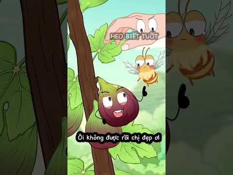 Trong quả sung có rất nhiều sâu 😬