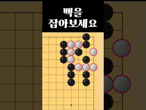 쉬운 바둑 사활 - 백을 잡는 묘수는?