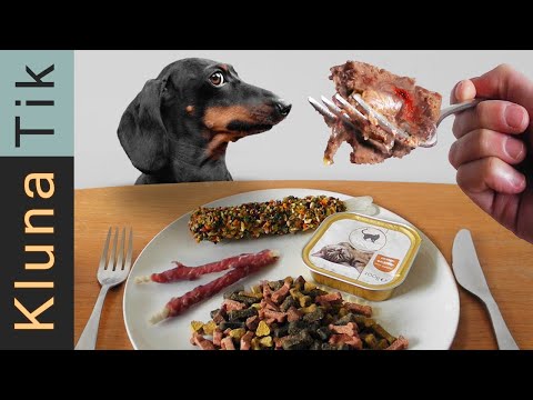 I Ate Dog Food So You Don’t Have To… But Should You? 🐶🤢