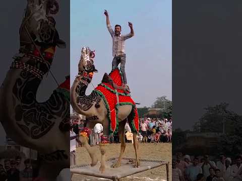 মুহাম্মদ মোস্তফা নবি (সা)